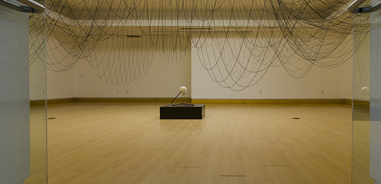 Skull with black string