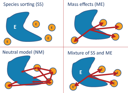 The four metacommunities