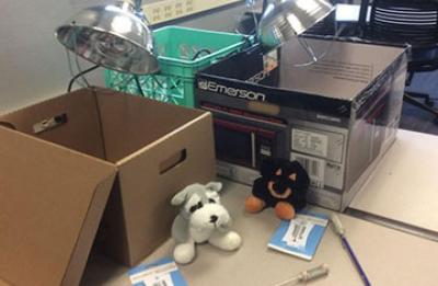 Tools and materials for building a Cool Puppy Doghouse, including cardboard boxes, screwdrivers, and stuffed animal puppies.
